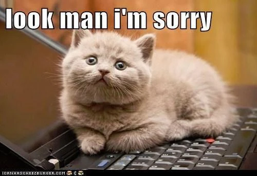 Sorry Cat Cats Apologize Meme Image By No Name Required Sorry Cat Cats Apologize Meme Image By No Name Required