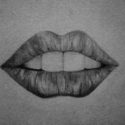 drawing lips pencilart blackandwhite draw